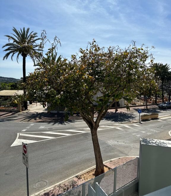 Inmobiliaria en Jávea