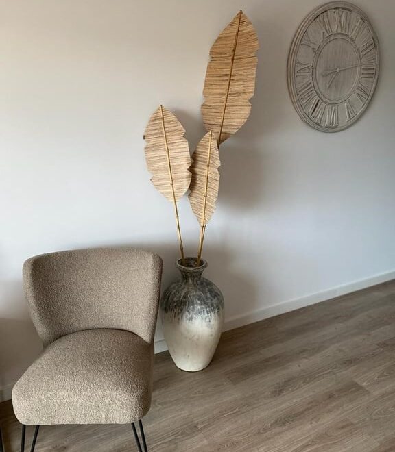 Silla, planta decorativa y reloj