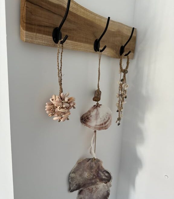 Ganchos con conchas decorativas colgando