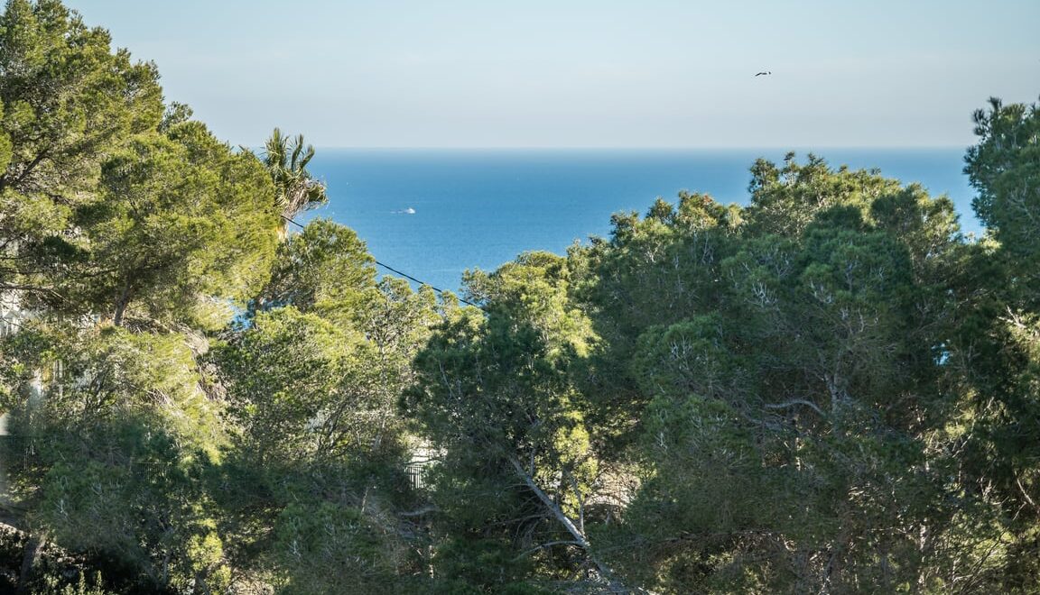 Inmobiliaria en Jávea