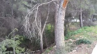 Parcelas urbanas en Jávea