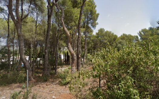 Parcela en Jávea / Xàbia